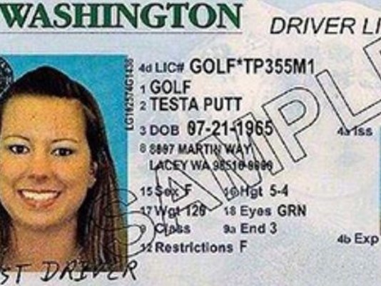 check washington state driver license